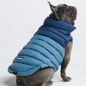 Spark Paws PuffShield Winter Jacket - Blue